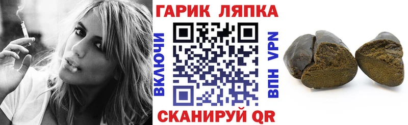 Гашиш Изолятор  где купить   Темников 