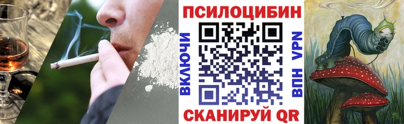 Галлюциногенные грибы Psilocybine cubensis  МЕГА   Темников  наркота 
