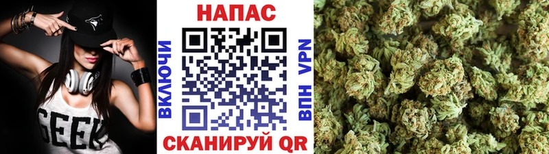 Бошки Шишки ГИДРОПОН  где купить наркоту  Темников 